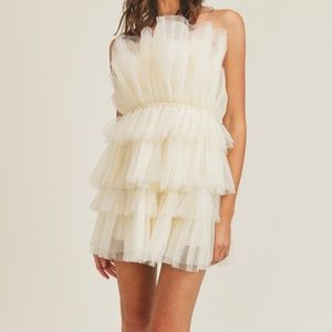 Organza ruffle tube mini dress